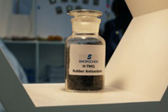 江蘇圣奧參加第四屆亞洲埃森輪胎展會暨第十...