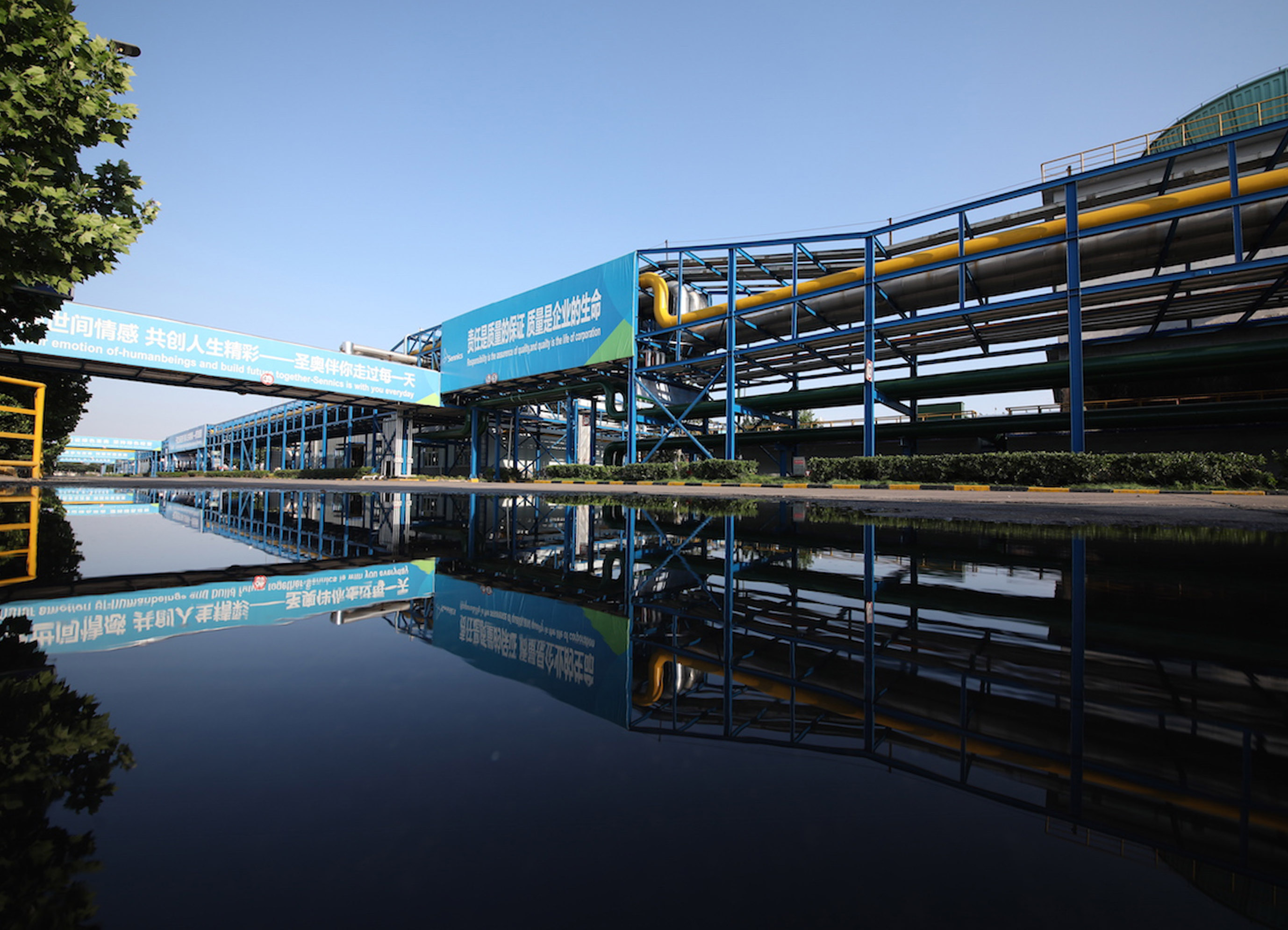 山東圣奧入選2020年度山東省高端品牌培育企...