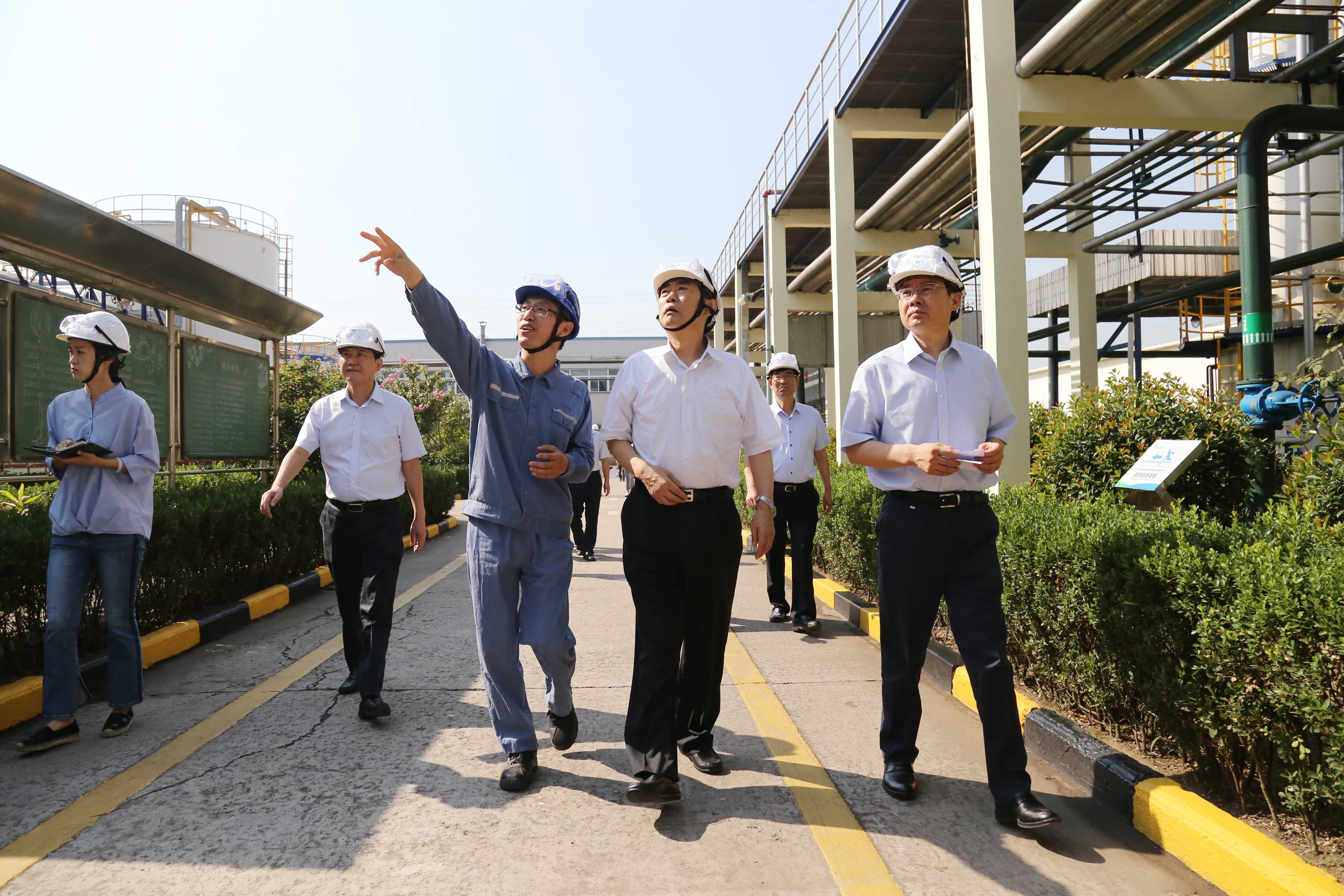 安徽省委常委、常務(wù)副省長鄧向陽蒞臨安徽圣...