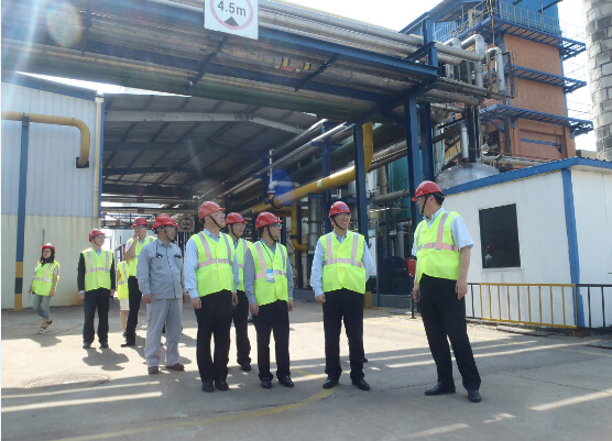 中化集團總裁助理張增根調(diào)研安徽圣奧 