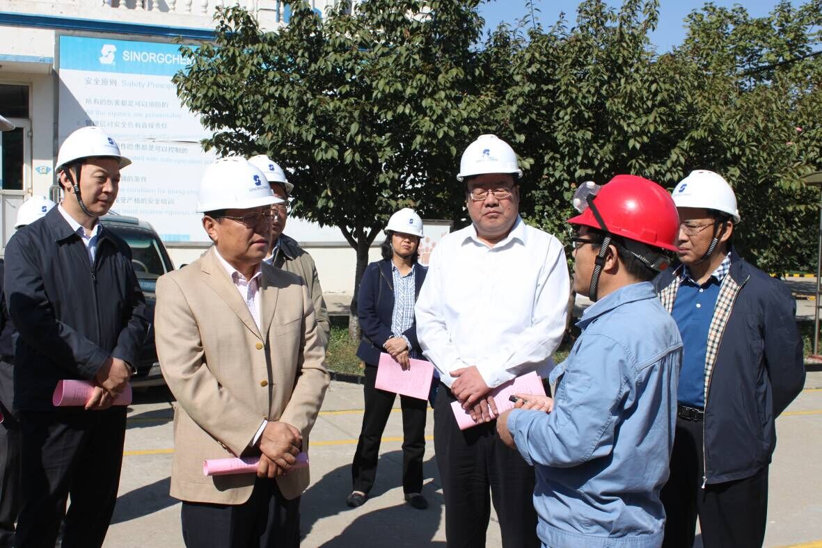 山東省安監(jiān)局長李世瑛來泰安圣奧調(diào)研安全工...