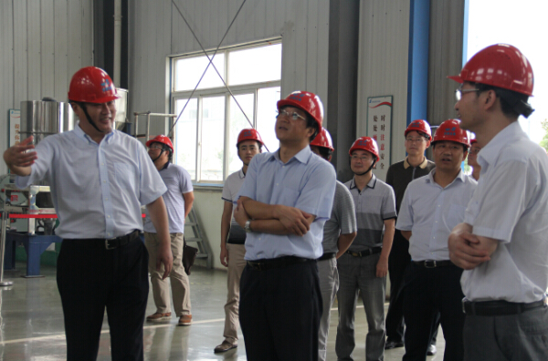 銅陵市委副書記、代市長倪玉平蒞臨安徽圣奧...