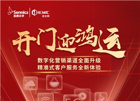 加速線上布局，全力實施數(shù)字化轉(zhuǎn)型—— 圣奧...