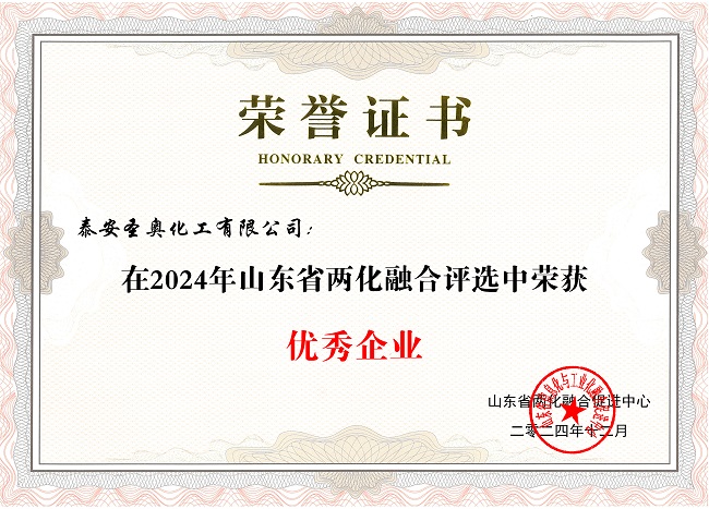 泰安圣奧榮獲“山東省兩化融合優(yōu)秀企業(yè)”稱...